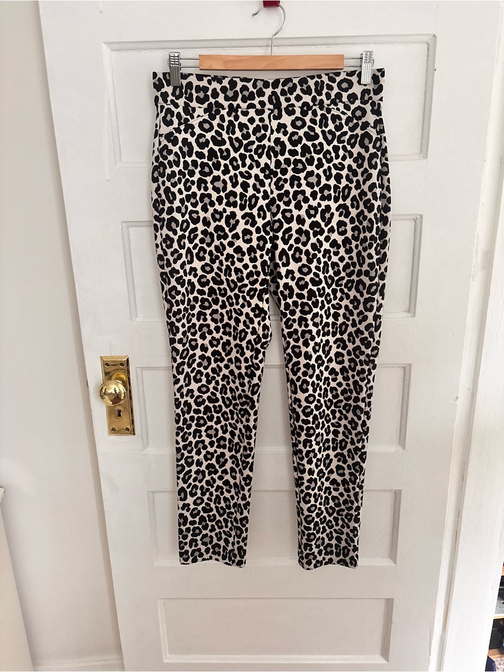 Leopard Print Women’s Stretch pants